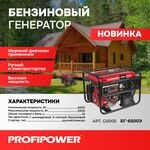 БЕНЗИНОВЫЙ ГЕНЕРАТОР G0005 PROFIPOWER БГ-6500Э