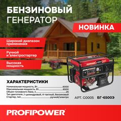БЕНЗИНОВЫЙ ГЕНЕРАТОР G0005 PROFIPOWER БГ-6500Э