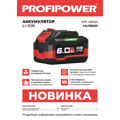 АККУМУЛЯТОР X0042 PROFIPOWER