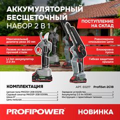 АККУМУЛЯТОРНЫЙ БЕСЩЕТОЧНЫЙ E0217 НАБОР 2В1 PROFIPOWER PROFISET-2G20