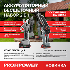 АККУМУЛЯТОРНЫЙ БЕСЩЕТОЧНЫЙ E0217 НАБОР 2В1 PROFIPOWER PROFISET-2G20