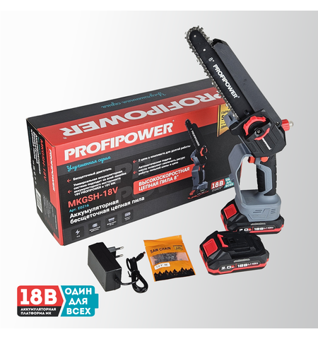 АККУМУЛЯТОРНАЯ ЦЕПНАЯ ПИЛА БЕСЩЕТОЧНАЯ E0216 PROFIPOWER MKGSH-18V