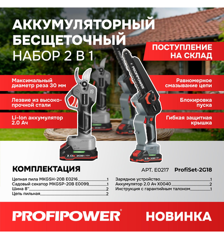 АККУМУЛЯТОРНЫЙ БЕСЩЕТОЧНЫЙ E0217 НАБОР 2В1 PROFIPOWER PROFISET-2G20