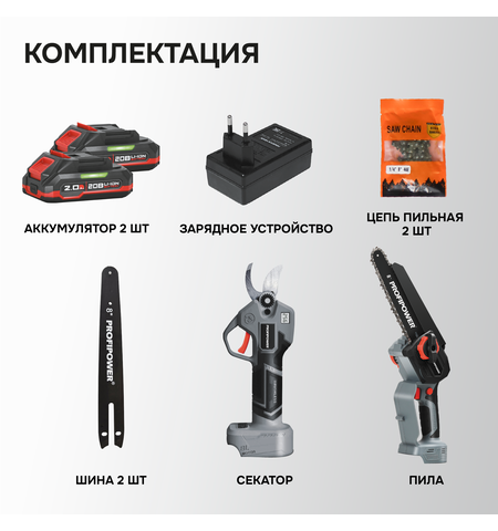 АККУМУЛЯТОРНЫЙ БЕСЩЕТОЧНЫЙ E0217 НАБОР 2В1 PROFIPOWER PROFISET-2G20