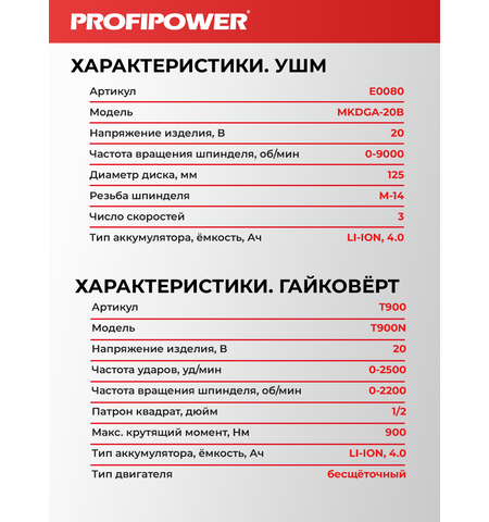 АККУМУЛЯТОРНЫЙ БЕСЩЕТОЧНЫЙ E0286 НАБОР 2В1 PROFIPOWER PROFISET-2H20
